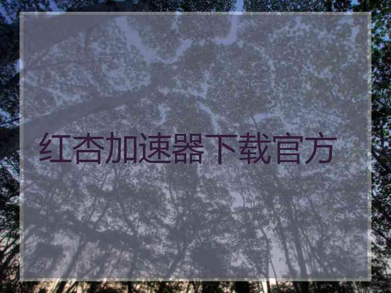 红杏加速器下载官方